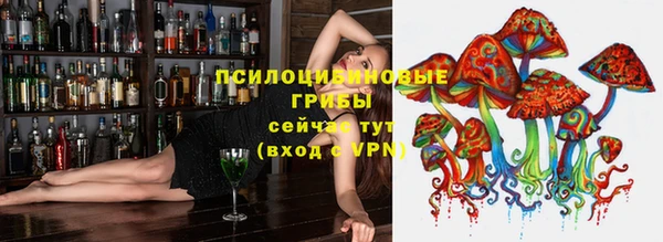 соль курить ск Алексеевка