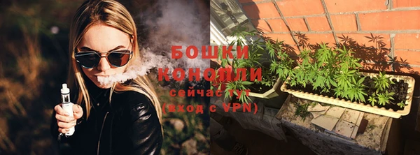 бошки Алексин
